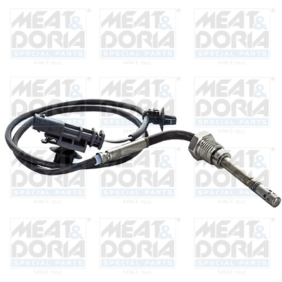 Sensor, exhaust gas temperature